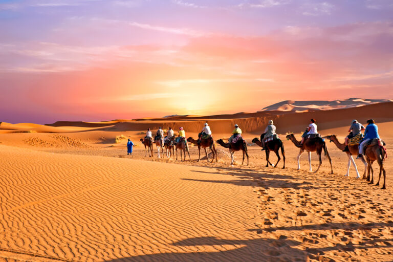 Camel,Caravan,Going,Through,The,Sand,Dunes,In,The,Sahara